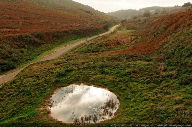 Valleuse d'Antifer
Haute-Normandie, France
Mots-clés: valleuse valleuse-d-antifer mare automne mare reflets miroir route rural normandie seine_maritime les_plus_belles_images_de_nature