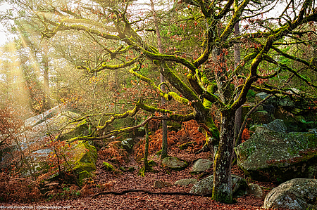 gorges-de-franchard-44.jpg