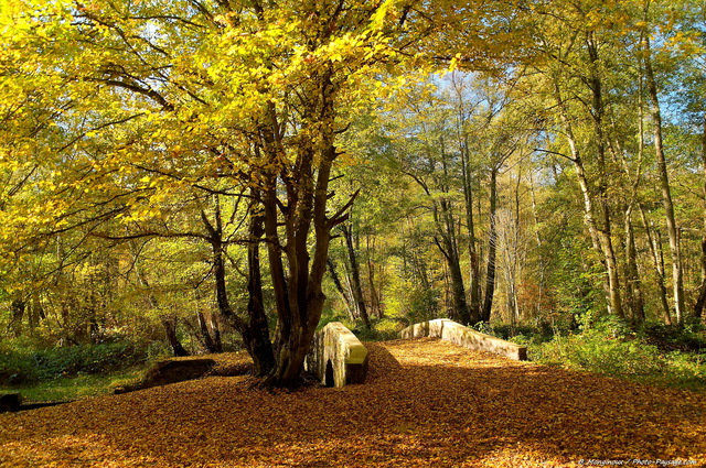 Petit pont de pierre
Le pont de Grandval dans les Vaux de Cernay,  Forêt de Rambouillet
(Haute vallée de Chevreuse, Yvelines)
Mots-clés: vaux-de-cernay yvelines rambouillet chemin automne categ_pont feuilles_mortes