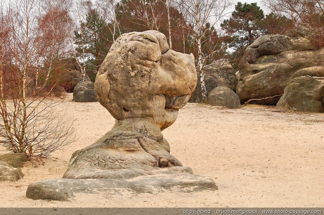 Le bilboquet
Désert aux sables du Cul de Chien,
Forêt des Trois Pignons
Mots-clés: desert sable_fin cul_de_chien rocher roc gres grayeux foret_des_trois_pignons seine_et_marne fontainebleau