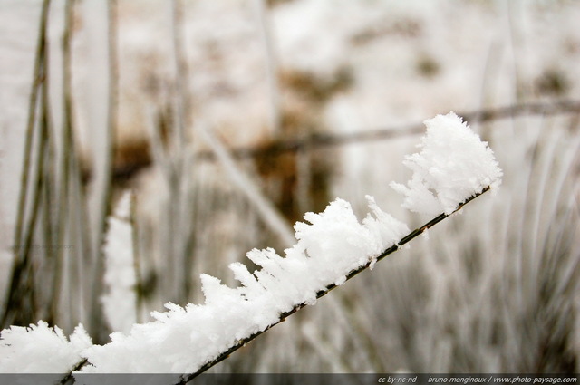 Givre sur brin d'herbe
La Margeride sous le givre
[Images d'hiver]
Mots-clés: hiver neige givre froid glace champs campagne herbe nature margeride cantal auvergne massif-central macrophoto