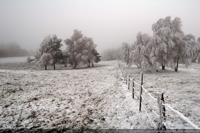 Brouillard givrant
La Margeride sous le givre
[Images d'hiver]
Mots-clés: hiver neige givre froid glace regle_des_tiers champs campagne margeride cantal auvergne languedoc-roussillon massif-central