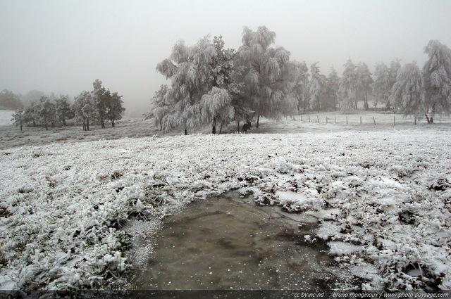 Brouillard givrant
La Margeride sous le givre
[Images d'hiver]
Mots-clés: hiver neige givre froid glace champs campagne margeride cantal auvergne languedoc-roussillon massif-central