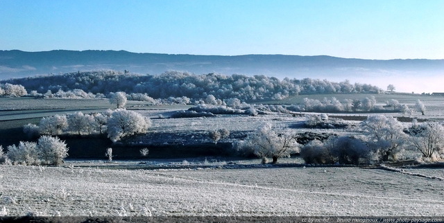 L'hiver en image : un paysage entièrement recouvert de givre
Paysage du massif central par -11°C
[Images d'hiver]
Mots-clés: hiver neige givre froid glace champs campagne languedoc-roussillon lozere massif-central