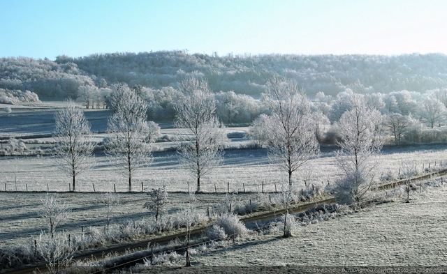 Un paysage d'hiver : des arbres recouverts de givre le long d'une route de campagne
Paysage du massif central par -11Â°C
[Images d'hiver]
Mots-clés: hiver neige givre froid glace champs campagne route lozere languedoc-roussillon massif-central