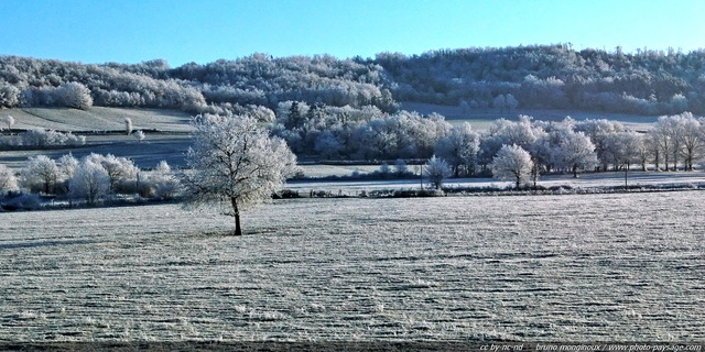 Des arbres recouverts de givre dans la campagne
Paysage du massif central par -11°C
[Images d'hiver]
Mots-clés: hiver neige givre froid glace champs campagne nature lozere languedoc-roussillon massif-central arbre_seul