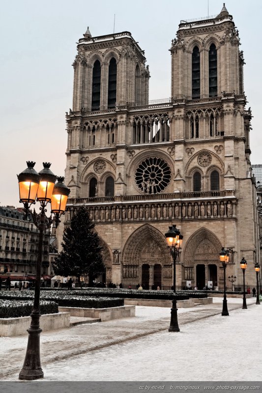 Neige sur le parvis de Notre Dame
[Paris sous la neige]
Mots-clés: cadrage_vertical paris_sous_la_neige neige froid hiver notre_dame_de_paris parvis lampadaires rue cathedrale eglise categ_ile_de_la_cite