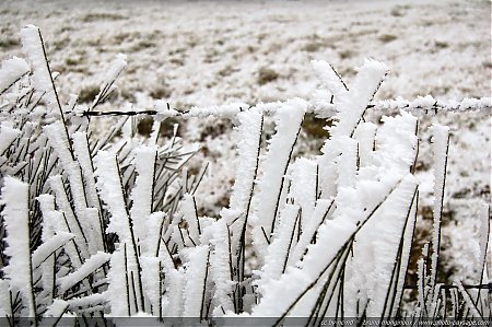 Hiver-givre-glace-2.jpg