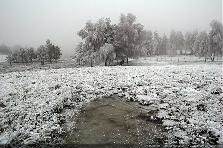 brume-hiver-neige-et-givre-3.jpg