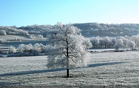 hiver-champs-recouverts-de-givre-0.jpg