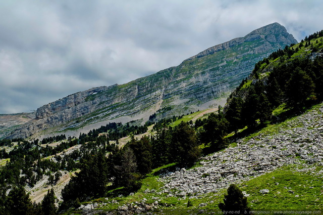 Arche
[Montagnes du Vercors]
Mots-clés: vercors montagne sapin conifere massif-subalpin arche_naturelle nature categ_ete beautes_de_la_nature montagnard oxygene