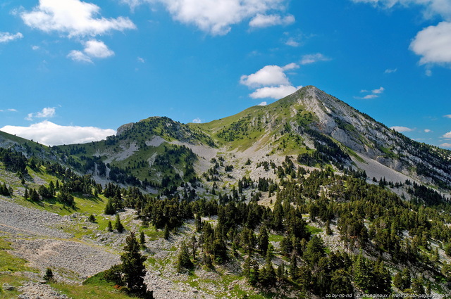 La tête des chaudières
[Montagnes du Vercors]

Mots-clés: vercors montagne pas-de-la-balme sentier chemin massif-subalpin forets_du_vercors nature categ_ete beautes_de_la_nature montagnard oxygene