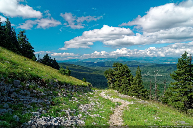 Randonnee dans le Vercors
[Montagnes du Vercors]
Mots-clés: vercors montagne massif-subalpin sentier forets_du_vercors beautes_de_la_nature montagnard oxygene