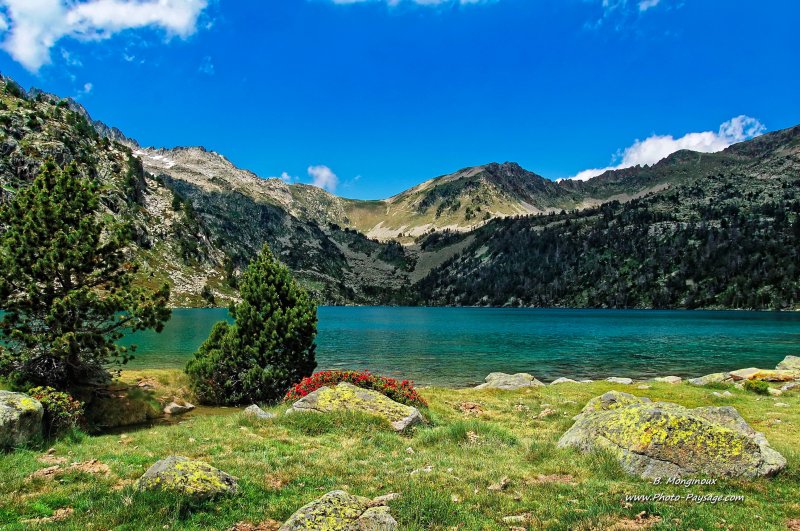 Lac d'Aubert
Réserve naturelle du Néouvielle, Hautes Pyrénées
Mots-clés: les_plus_belles_images_de_nature ilot reflets miroir nature pyrenees neouvielle ete categ_ete
