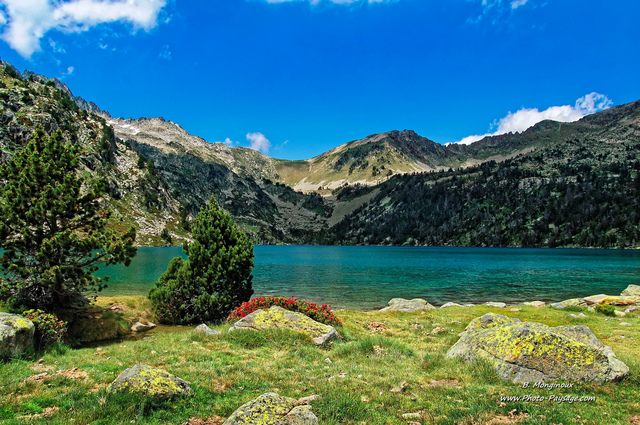 Lac d'Aubert
Réserve naturelle du Néouvielle, Hautes Pyrénées
Mots-clés: les_plus_belles_images_de_nature ilot reflets miroir nature pyrenees neouvielle ete categ_ete