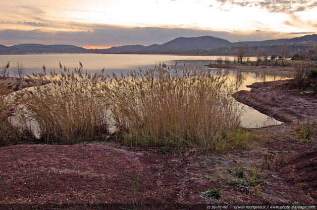 Givre et roselière sur les rives du lac du Salagou
Herault, France
Mots-clés: les_plus_belles_images_de_nature aube matin givre froid hiver nature roseaux roseliÃ¨re ruffe