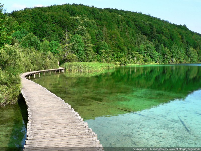 Promenade dans les lacs supérieurs
Parc National de Plitvice, Croatie
Mots-clés: riviere croatie plitvice nature zen sentier promenade sentier passerelle reflets categ_ete croatie