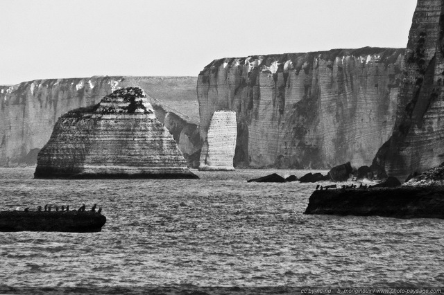 Au pied des falaises normandes
Le Roc Vaudieu et l'Aiguille de Belval
Etretat, Haute-Normandie, France
Mots-clés: etretat normandie mer littoral plage falaise roc-vaudieu