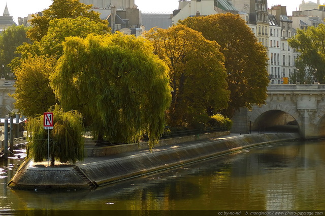 Paysage de bord de Seine
L'à®le de la Cité.
Paris, France
Mots-clés: la_seine quai categ_ile_de_la_cite matin fleuve les_ponts_de_paris paris rive paysage_urbain quai rive_droite voie_georges_pompidou
