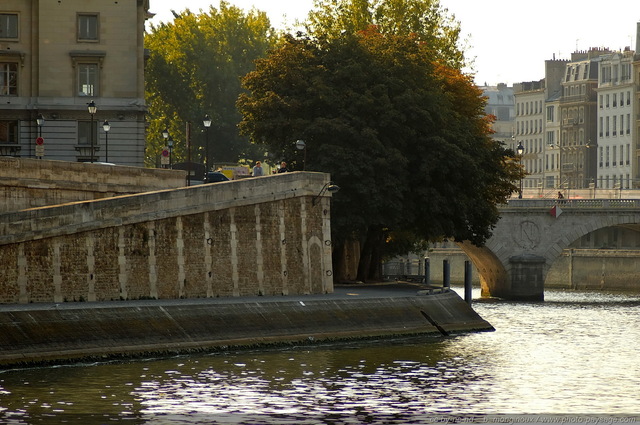 Au bord des quais
Ile de la Cité
Paris, France
Mots-clés: la_seine fleuve les_ponts_de_paris categ_ile_de_la_cite paris rive paysage_urbain quai rive_droite