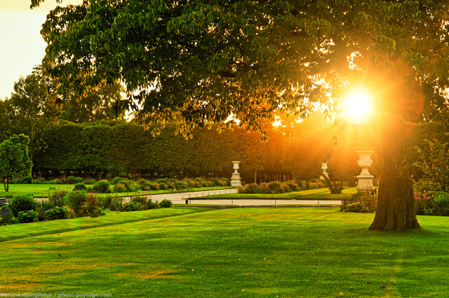 Coucher de soleil sur le jardin des Tuileries
Le jardin des Tuileries, Paris, France
Mots-clés: paris coucher_de_soleil jardin tuileries pelouse herbe feuille contre-jour les_plus_belles_images_de_ville