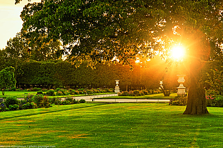 Coucher_de_soleil_sur_le_jardin_des_Tuileries.jpg