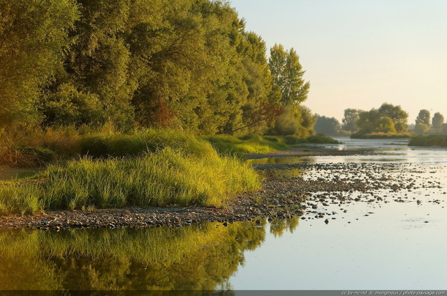 Balade en bord de Loire -03
La Loire, dernier fleuve sauvage de France.
Mots-clés: fleuve sauvage loire nature rive plage reflets rive