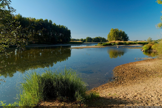 Paysage du bord Loire -02
La Loire, dernier fleuve sauvage de France.
Mots-clés: fleuve sauvage loire nature rive plage reflets