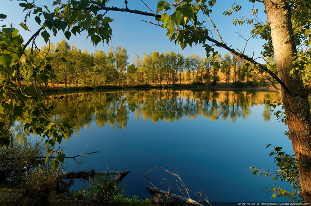 Étang sur l'île aux Cannes
Balade nature en bord de Loire...
Mots-clés: fleuve sauvage loire nature reflets etang categorielac alignement_d_arbre