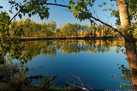 Etang_sur_l_ile_aux_Cannes.jpg