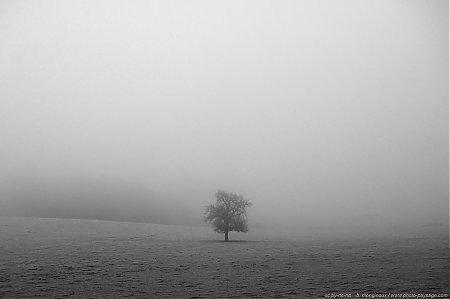 Brume et brouillard 