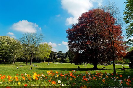 Le_printemps_au_parc_Montsouris-06.jpg