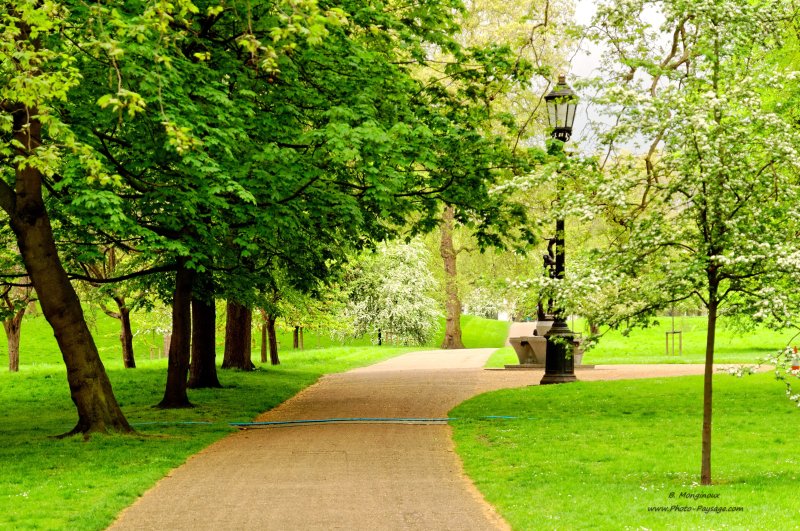 Une allée de Green Park
Londres, Royaume-Uni
Mots-clés: londres royaume_uni jardin chemin lampadaires pelouse gazon herbe