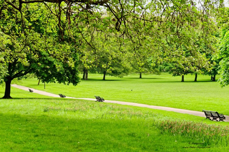 Balade dans Green Park - des bancs alignés le long d'une allée
Londres, Royaume-Uni
Mots-clés: londres royaume_uni jardin pelouse gazon herbe chemin banc
