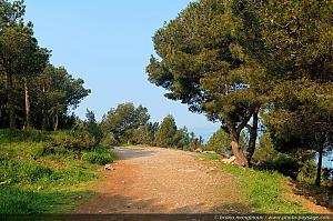 Nom du fichier=Chemin_sur_le_mont_st_clair.JPG
Taille du fichier=465Ko
Dimensions du fond d'écran (en pixels) : 1280x851
Image ajoutée dans Photo-Paysage.com le : 14 Mai 2009 Chemin_sur_le_mont_st_clair.JPG