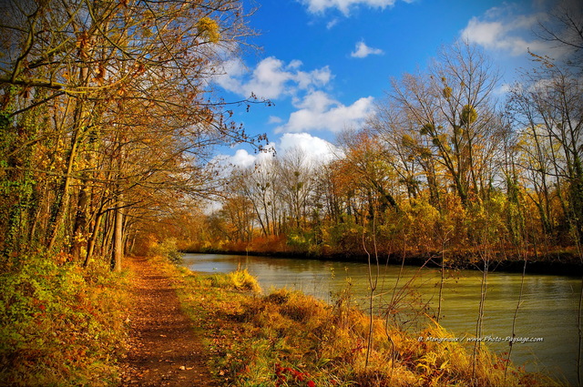 Le canal de Chelles -02
Val de Marne, France
Mots-clés: val_de_marne chelles canal automne chemin sentier alignement_d_arbre