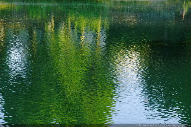 Reflets sur Marne -02
Champigny-sur-Marne (Val de Marne)

[Une balade en bord de Marne]
Mots-clés: champigny-sur-marne marne printemps texture categ_riv_marne riviere promenade quai rive val_de_marne reflets