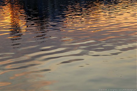 Reflets_matinaux_sur_la_Marne_1.jpg