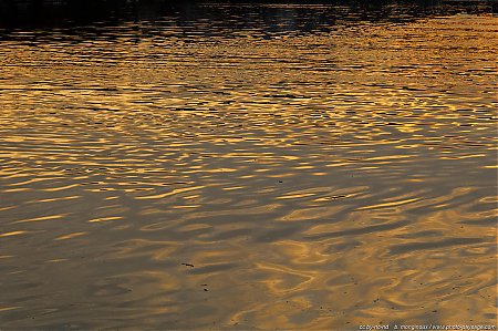 Reflets_matinaux_sur_la_Marne_4.jpg