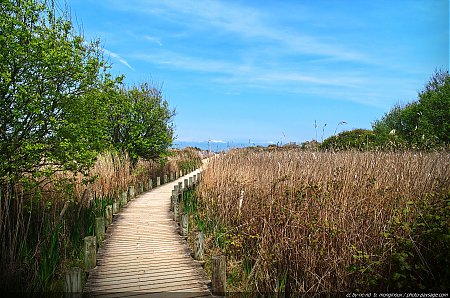 Omaha_beach_-_Colleville-sur-mer_-03.jpg