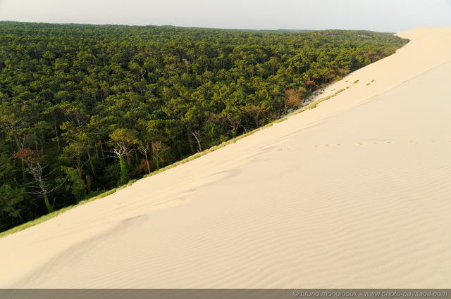 Dune du Pyla -11
[La côte Aquitaine]
Mots-clés: dune_du_pyla aquitaine plage sable gascogne littoral atlantique landes foret_landaise les_plus_belles_images_de_nature