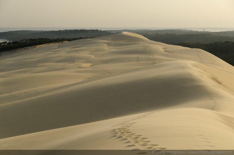 Promenade sur la dune du Pyla
[La côte Aquitaine]
Mots-clés: dune_du_pyla aquitaine plage sable gascogne littoral atlantique landes les_plus_belles_images_de_nature