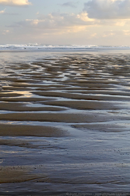 Marée basse sur la plage - Biscarrosse plage -01
[Côte Aquitaine]
Mots-clés: aquitaine cadrage_vertical littoral atlantique bord_de_mer biscarrosse plage ocean landes sable texture les_plus_belles_images_de_nature