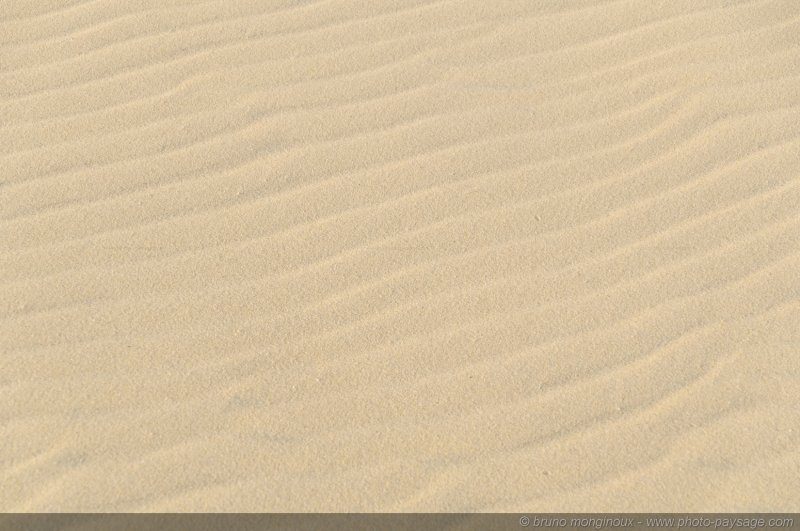 Texture sur sable -07
Dune du Pyla
[La côte Aquitaine]
Mots-clés: littoral atlantique mer ocean gascogne aquitaine dune_du_pyla sable texture landes
