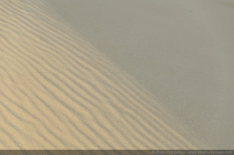 Texture sur sable -11
Dune du Pyla
[La côte Aquitaine]
Mots-clés: littoral atlantique mer ocean gascogne aquitaine dune_du_pyla sable texture landes