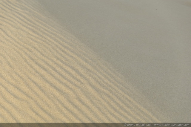 Texture sur sable -11
Dune du Pyla
[La côte Aquitaine]
Mots-clés: littoral atlantique minimaliste mer ocean gascogne aquitaine dune_du_pyla sable texture landes