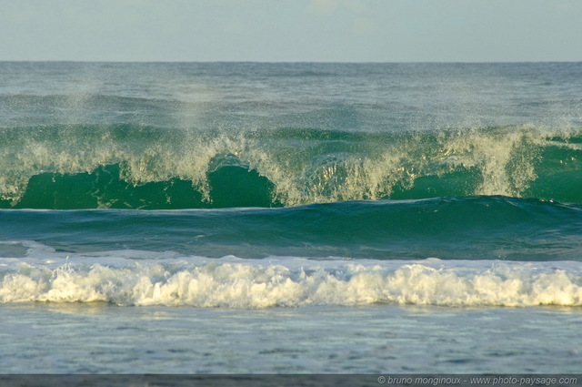 Vagues océanes - Biscarrosse plage -03
Les rouleaux de ces vagues océanes attirent de nombreux surfeurs sur le littoral atlantique...

[Côte Aquitaine]
Mots-clés: aquitaine littoral atlantique bord_de_mer biscarrosse plage ocean landes vagues ecume les_plus_belles_images_de_nature