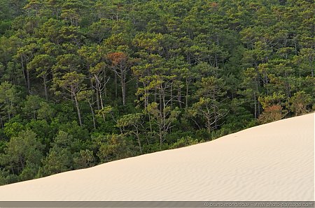 Dune_du_Pyla_-05.jpg