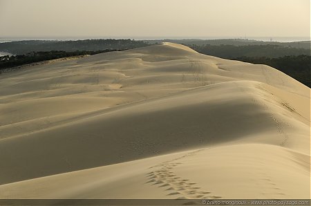 Dune_du_Pyla_-13.jpg