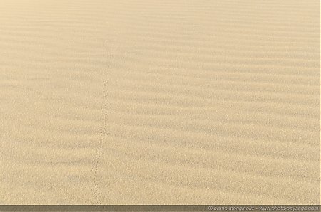 Texture_sur_sable_-06.jpg